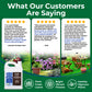 Promotional graphic for Simple Grow Solutions lawn care products, featuring three customer testimonials with star ratings, a bottle of Simple Grow Solutions Seaweed & Humic Acid blend, and three green lawn imagery icons at the bottom.
