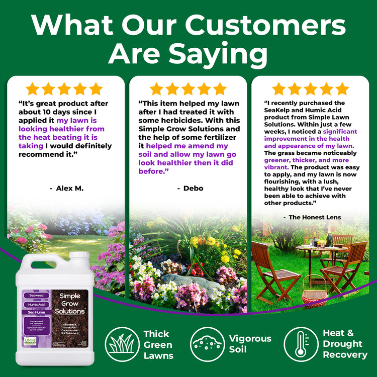 Promotional graphic for Simple Grow Solutions lawn care products, featuring three customer review quote cards with star ratings and photos of green lawns, flowers, and outdoor seating. A white bottle labeled Simple Grow Solutions is shown at the bottom left on a dark green background with feature icons for thick green lawns, vigorous soil, and heat and drought recovery.