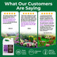 Promotional graphic for Simple Grow Solutions lawn care products, featuring three customer review quote cards with star ratings, a bottle of Simple Grow Solutions on the bottom left, and lawn care benefit icons at the bottom on a green background.