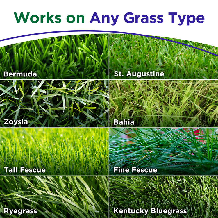 A promotional graphic showing six close-up grass textures labeled Bermuda, St. Augustine, Zoysia, Bahia, Tall Fescue, Fine Fescue, Ryegrass, and Kentucky Bluegrass under the headline &