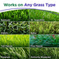 A promotional graphic showing six close-up grass textures labeled Bermuda, St. Augustine, Zoysia, Bahia, Tall Fescue, Fine Fescue, Ryegrass, and Kentucky Bluegrass under the headline &