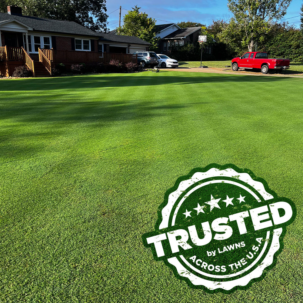 Deep green bermudagrass lawn in front of a home