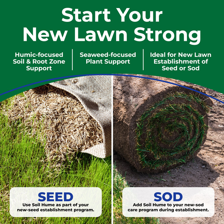 Infographic promoting soil hume for seeding and sodding a new lawn