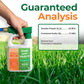 A hand holds a bottle of Simple Lawn Solutions lawn food over a green grass field. The bottle has a white body, green spray nozzle, and orange and green label.