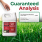 A white plastic jug of Simple Grow Solutions Root Hume concentrated soil treatment is shown against a green grass background, with a human hand entering from the top left. Large text reads &