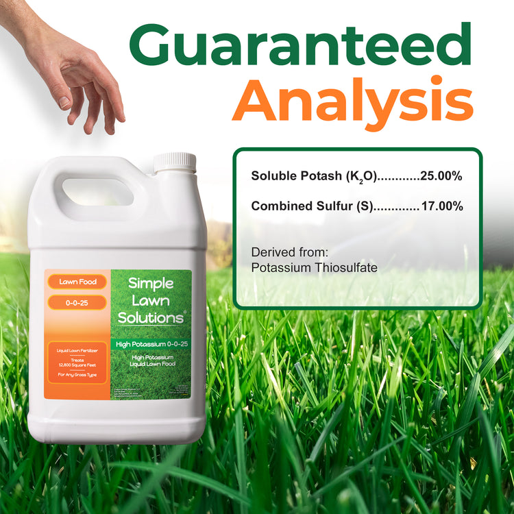 A white plastic jug of Simple Lawn Solutions Lawn Food 0-0-25 fertilizer shown on a grassy background with large text reading &