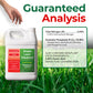 A white plastic jug of Simple Lawn Solutions Lawn Booster 6-18-0 fertilizer is shown on a grassy lawn background with a hand pointing at it. Large text reads &