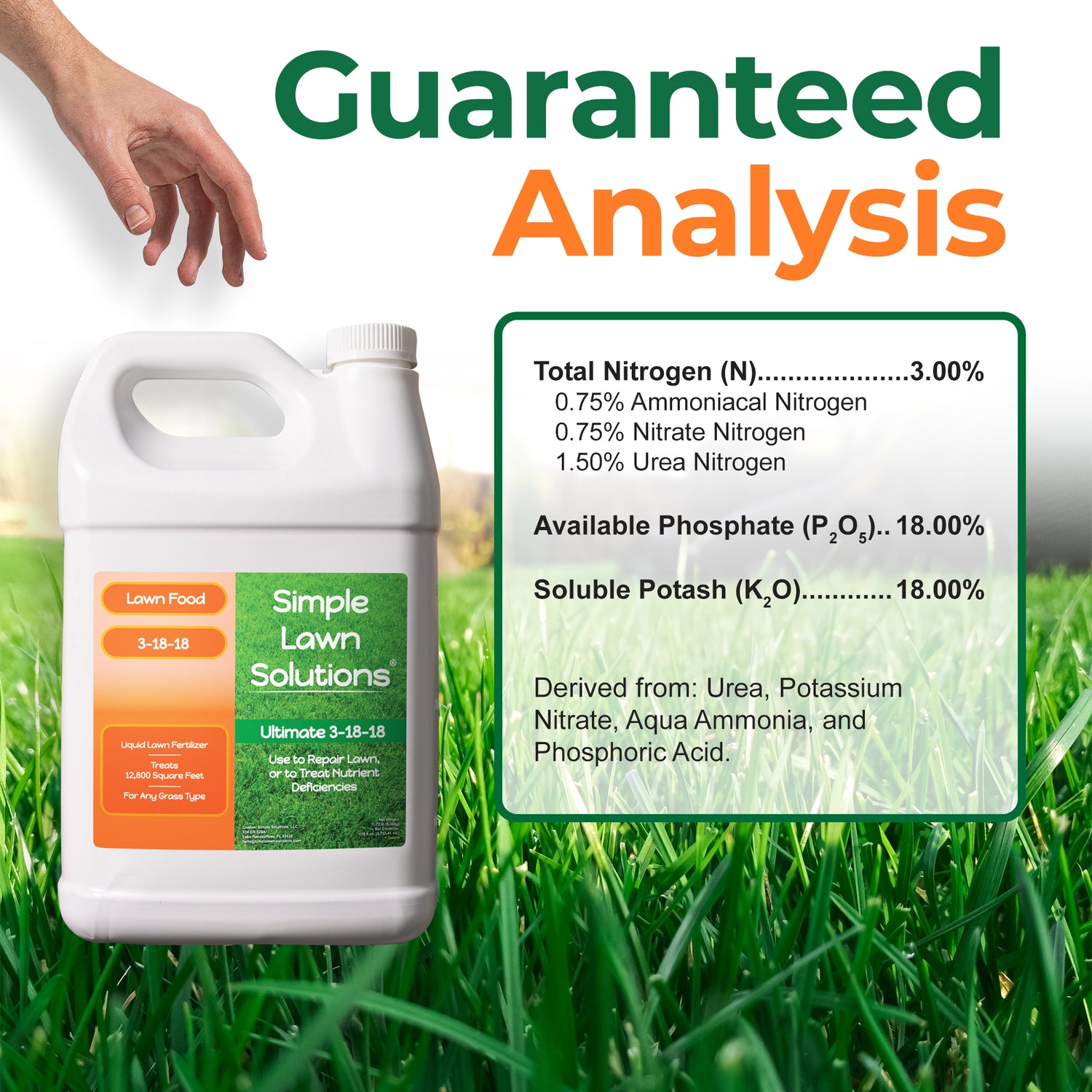 A gallon jug of Simple Lawn Solutions Ultimate 3-18-15 lawn food placed on a green grass background, with a human hand entering from the top left and a large text panel reading &