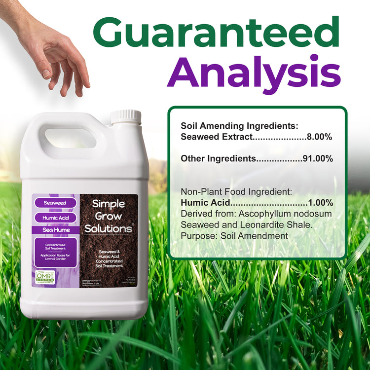 A white plastic jug of Simple Grow Solutions seaweed and humic acid soil amendment is shown on a grassy background with a hand pointing at it. Large text reads &