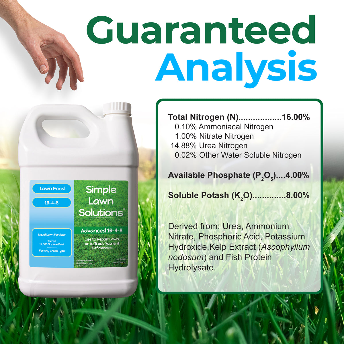 A white plastic bottle of Simple Lawn Solutions Lawn Food 15-4-8 fertilizer shown on a grassy background with a hand near the top and a large &