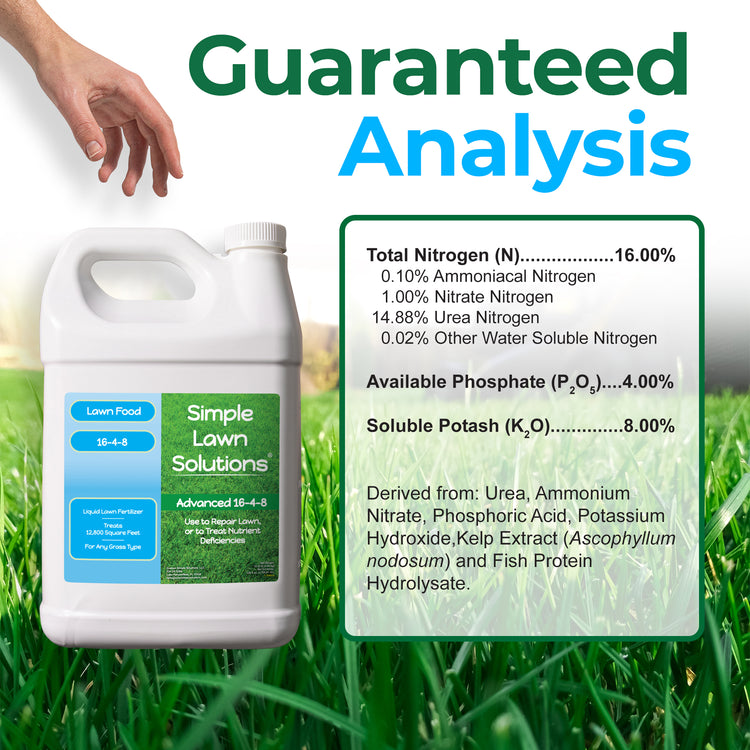 A white plastic bottle of Simple Lawn Solutions Lawn Food 15-4-8 fertilizer shown on a grassy background with a hand near the top and a large &