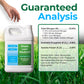 A white plastic bottle of Simple Lawn Solutions Lawn Food 15-4-8 fertilizer shown on a grassy background with a hand near the top and a large &