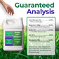 A white plastic bottle of Simple Lawn Solutions Lawn Energizer lawn booster fertilizer with a green and purple label, shown next to a large text panel detailing guaranteed analysis nutrients (Total Nitrogen, Magnesium, Sulfur, Iron, Manganese) on a background of green grass.