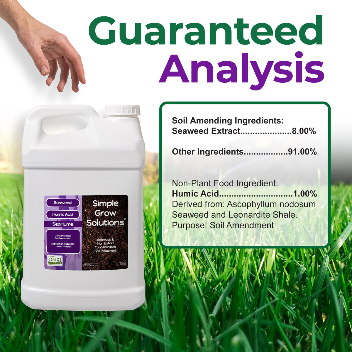 2.5 Gallons of Sea Hume with guaranteed analysis that shows "8% seaweed (asophyllum nodosom and 1% humic acid derived from leonardite shale."