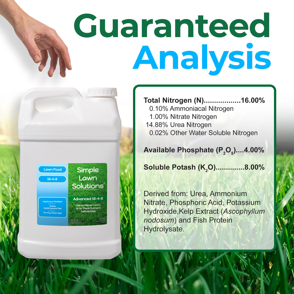 A white plastic jug of Simple Lawn Solutions fertilizer shown beside a large text panel reading &