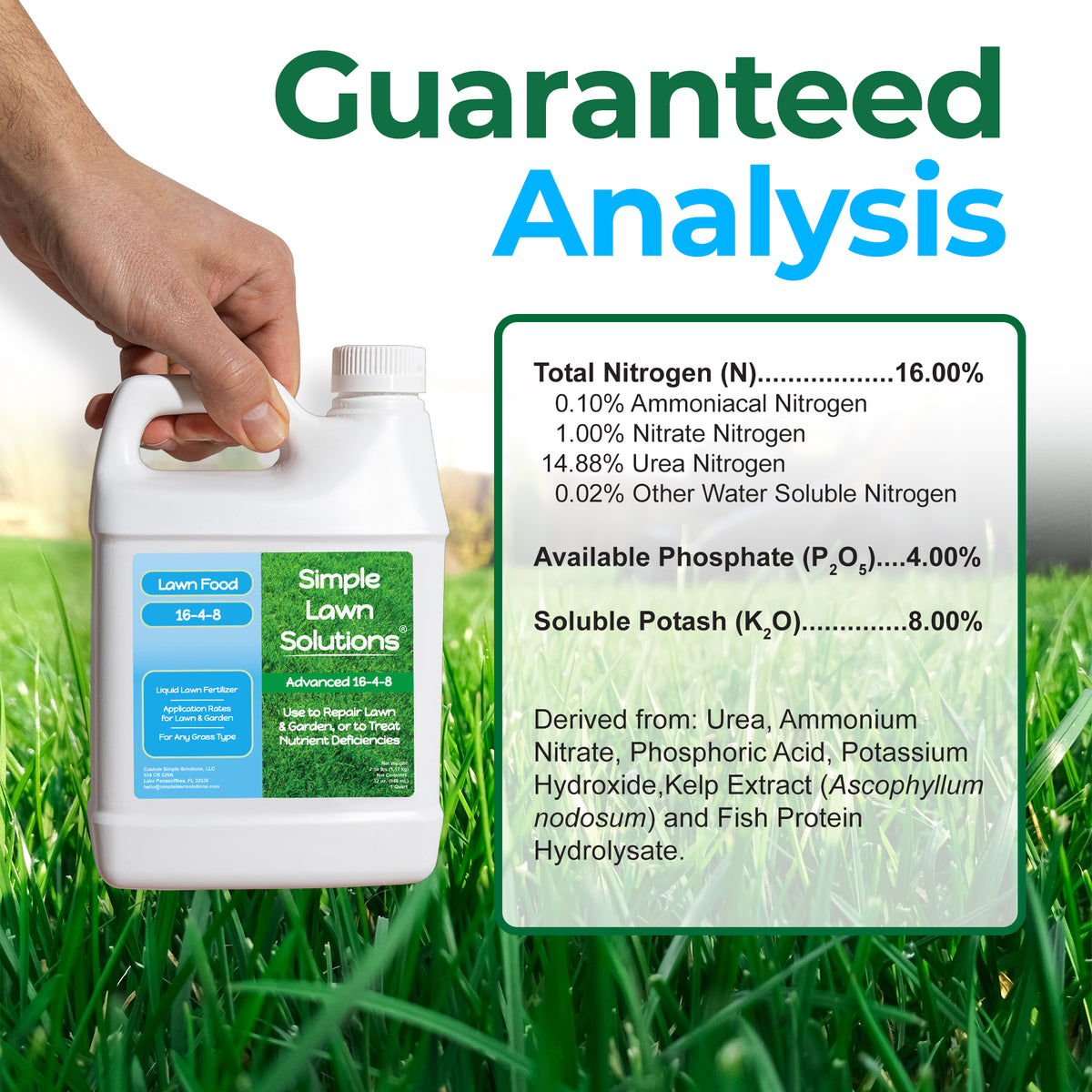 A hand holds a white plastic jug of Simple Lawn Solutions Lawn Food 16-4-8 fertilizer against a green grass background, with large text reading &