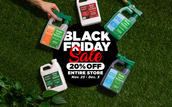 Assortment of liquid lawn fertiizer spread out on green grass, decorative text Black Friday Sale