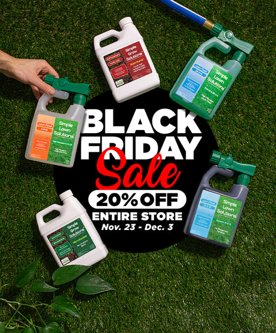 Assortment of liquid lawn fertiizer spread out on green grass, decorative text Black Friday Sale