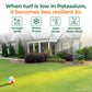 Lawn with text about potassium deficiency effects on turf, featuring a house and garden in the background. "When turf is low in potassium, it becomes less resilient to drought, winter, heat and weakened root system." 