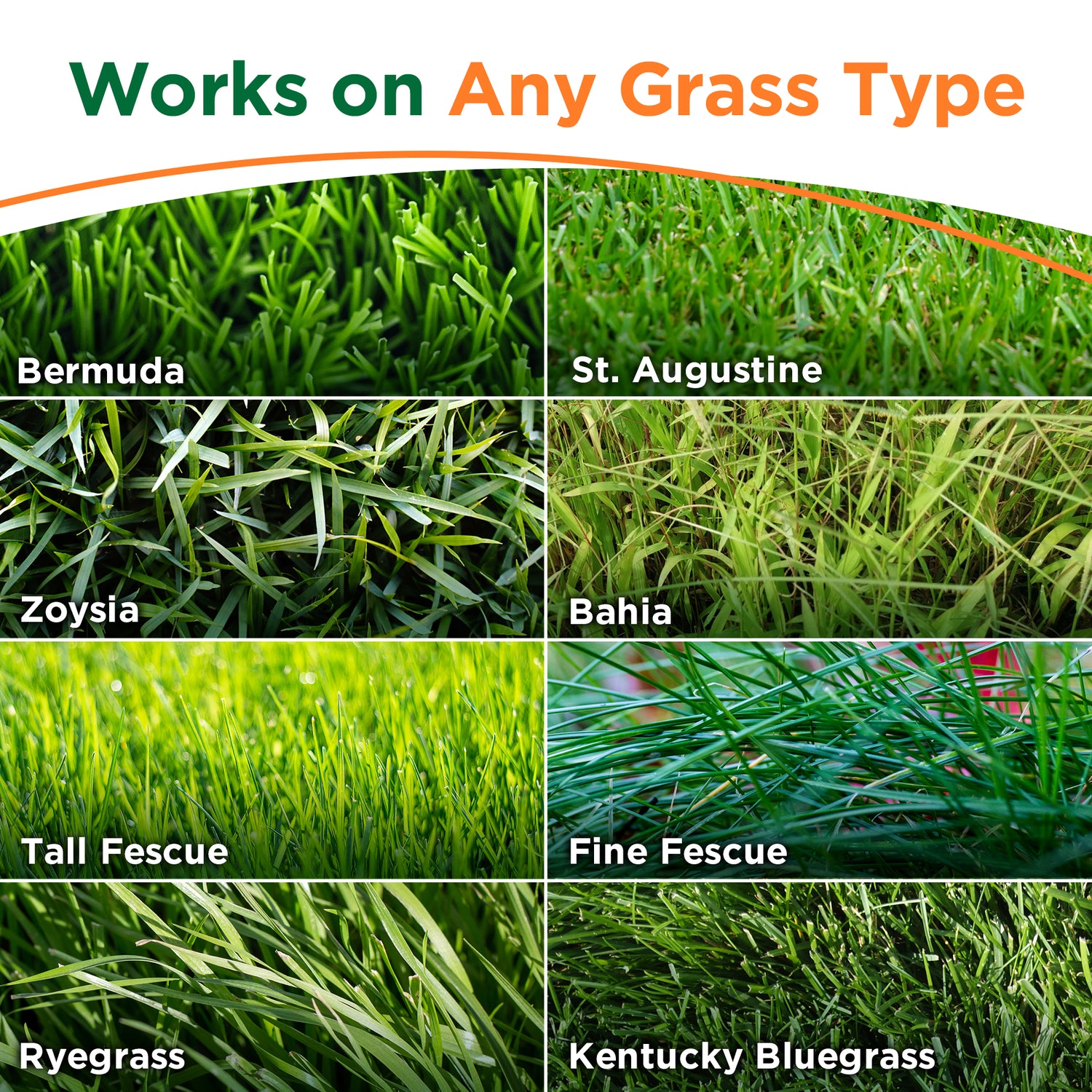 Photo collage of most common warm and cool-season grass types with text &