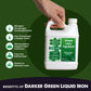 Darker Green Liquid Iron Micronutrient Blend (32 Ounce)