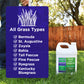 Lawn Booster: Lawn Energizer Iron & Nitrogen Blend (1 Gallon)