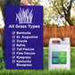 Lawn Booster: Lawn Energizer Iron & Nitrogen Blend (2.5 Gallon)