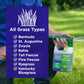 Lawn Booster: Lawn Energizer Iron & Nitrogen Blend (32 ounce)