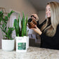 Woman applying All-Purpose Plant Food (32 Ounces) from a copper watering can to a snake plant