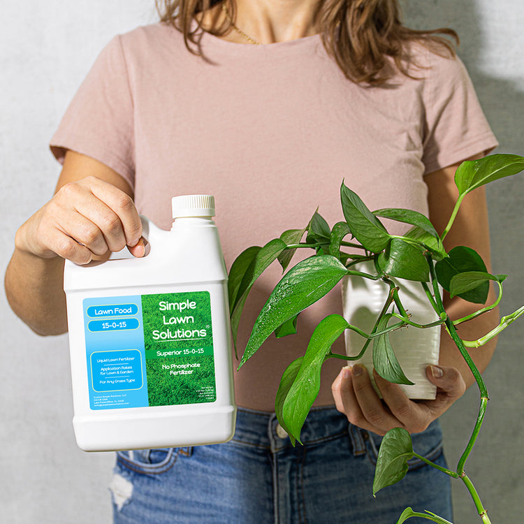 nitrogen and potassium fertilizer for pothos plant