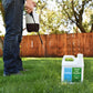 15-0-15 fertilizer applied with pump sprayer