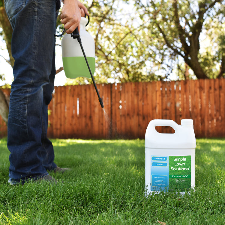 Quick and slow release nitrogen fertilizer for lawn