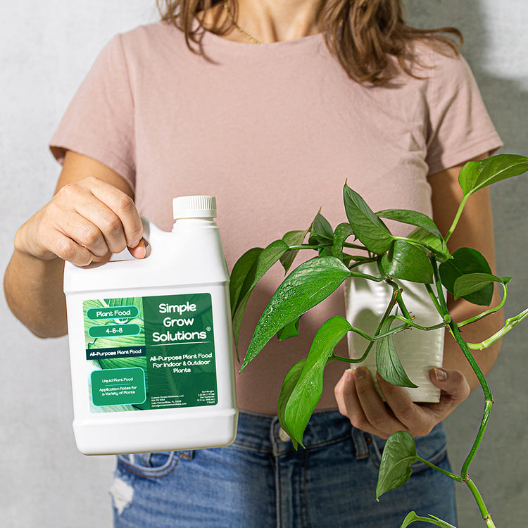 Pothos plant with All-Purpose Plant Food NPK (32 ounces)