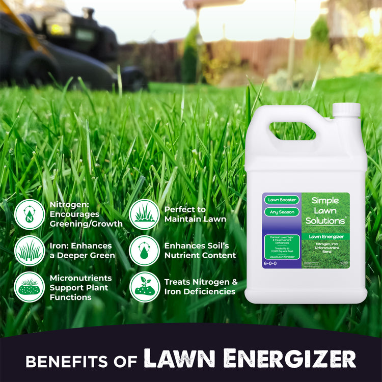 Benefits of Lawn Energizer