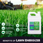Benefits of Lawn Energizer, Nitrogen encourages greening and growth, Iron enhances a deeper green, micronutrients support essential plant functions, treats nitrogen and iron deficiencies, and is perfect to maintain lawn.