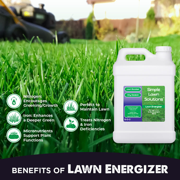 Benefits of Lawn Energizer, Nitrogen encourages greening and growth, Iron enhances a deeper green, micronutrients support essential plant functions, treats nitrogen and iron deficiencies, and is perfect to maintain lawn.