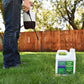 6-0-0 Liquid Iron and Nitrogen Lawn Fertilizer