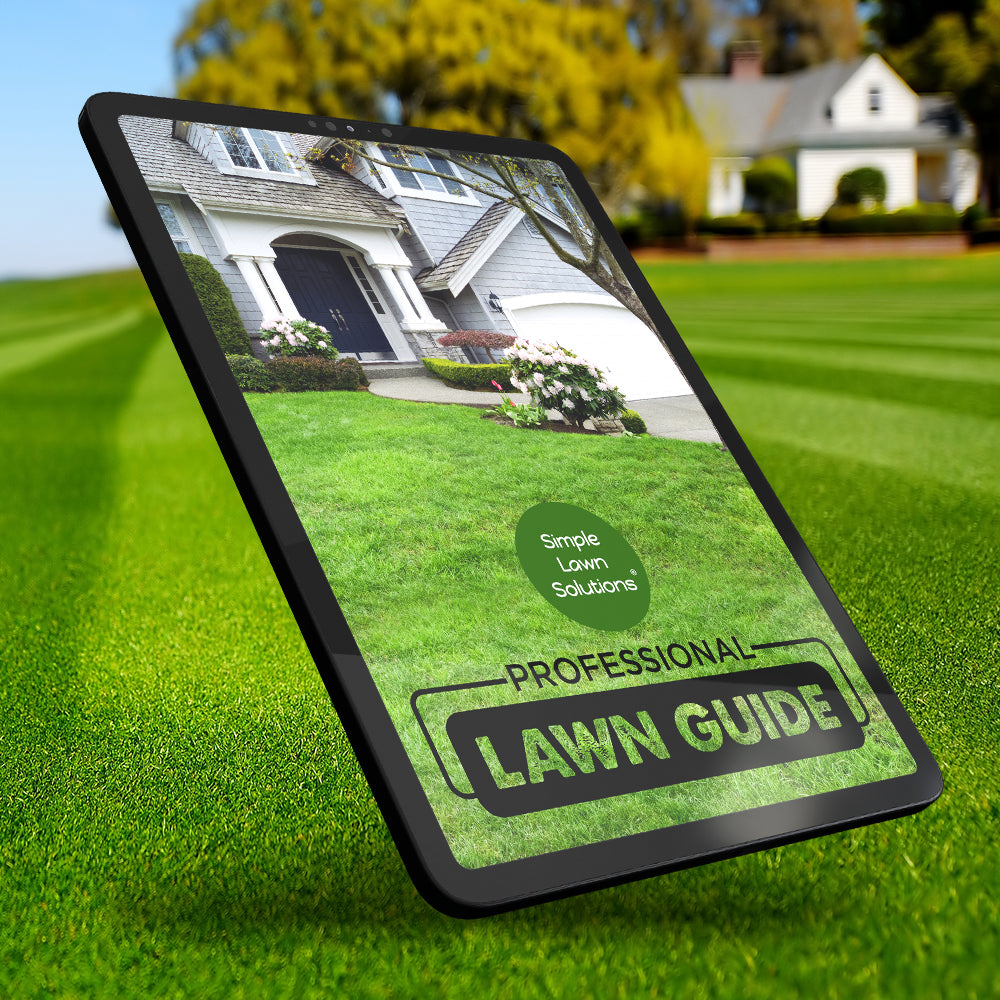 Simple lawn outlet care