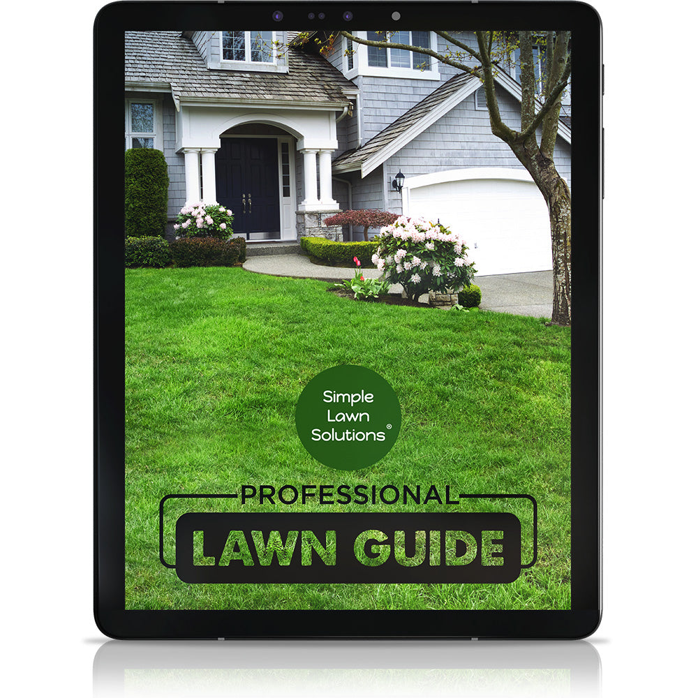 Simple lawn shop care