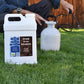 Apply Humic acid with pump sprayer to lawn
