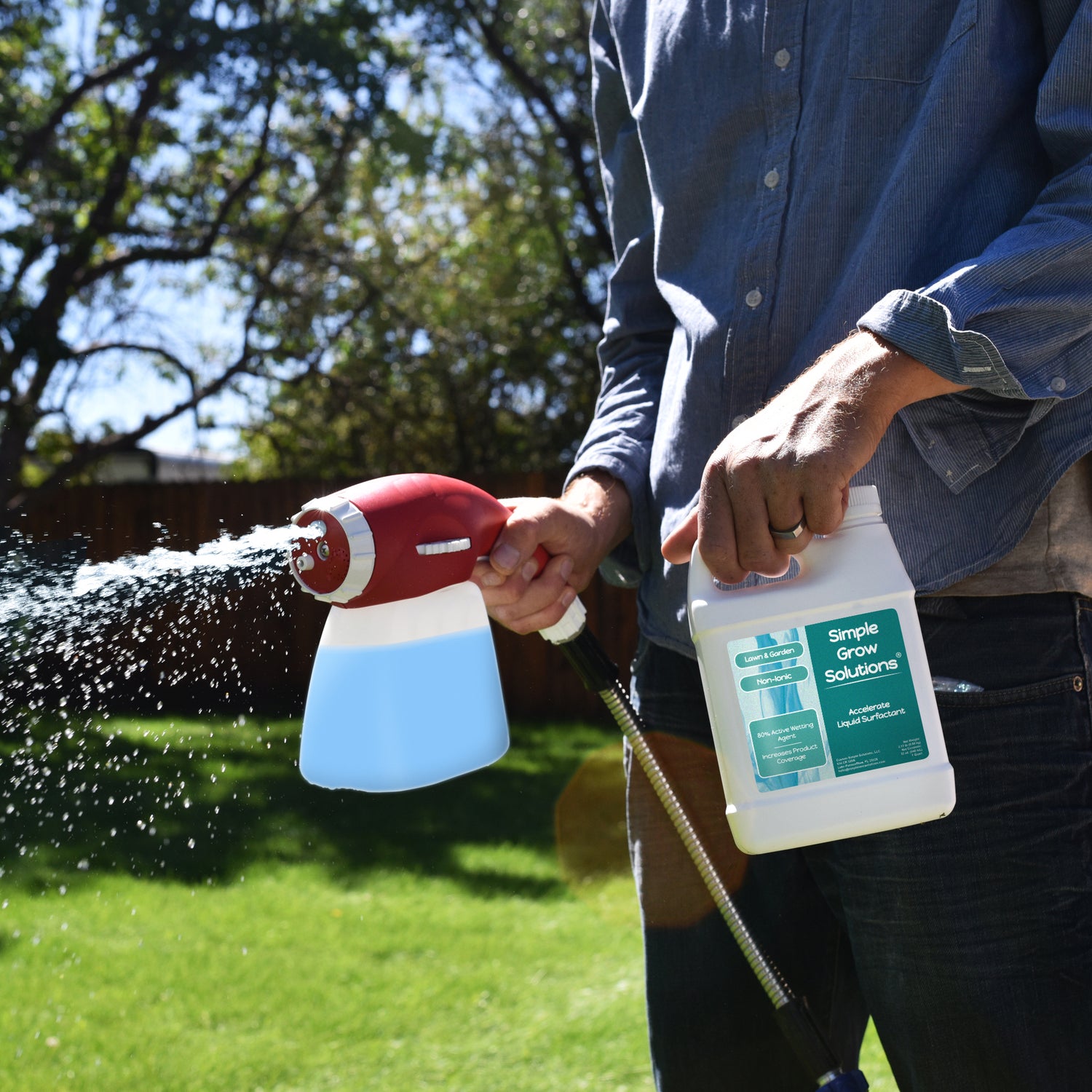 Accelerate Liquid Non-Ionic Surfactant being applied to a lawn with an ortho sprayer