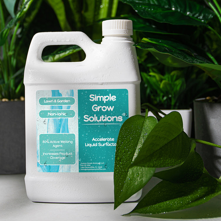 Accelerate Liquid Non-Ionic Surfactant (32 Ounce) and houseplants