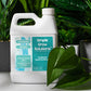 Accelerate Liquid Non-Ionic Surfactant (32 Ounce) and houseplants
